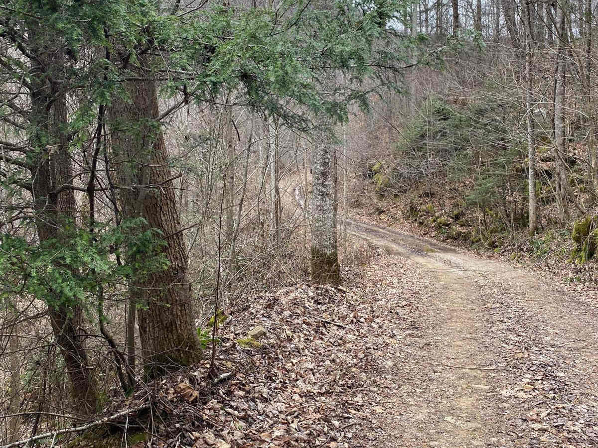 Trail 86 Windrock photo 2