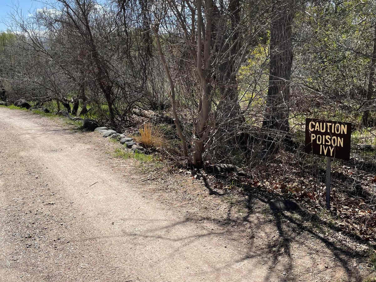 West Clear Creek Access Road and Campground photo 5
