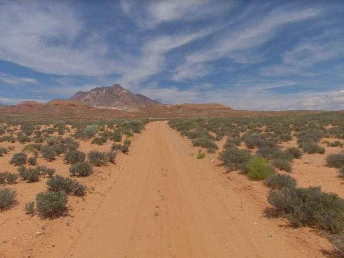 Spring Desert Road - BLM13410 photo 4
