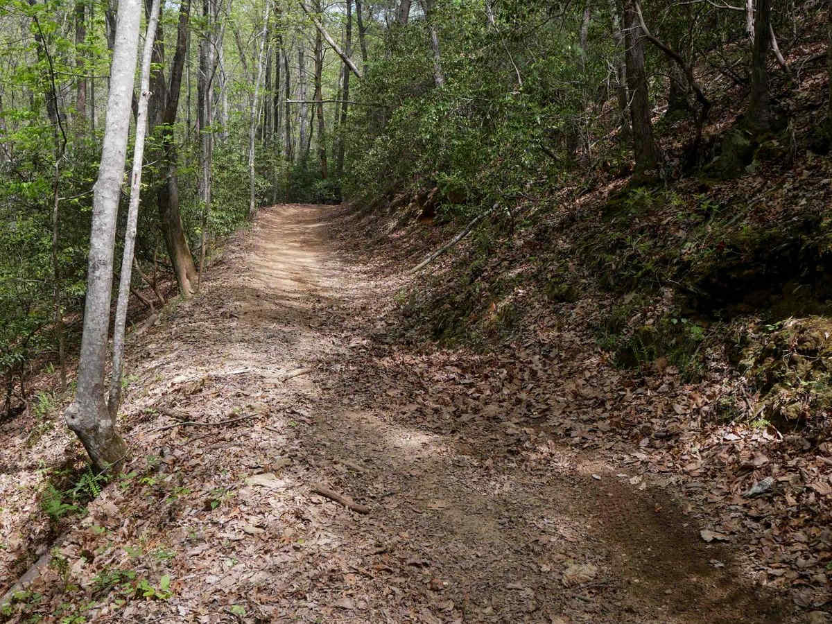 Hightower Loop Trail E photo 5