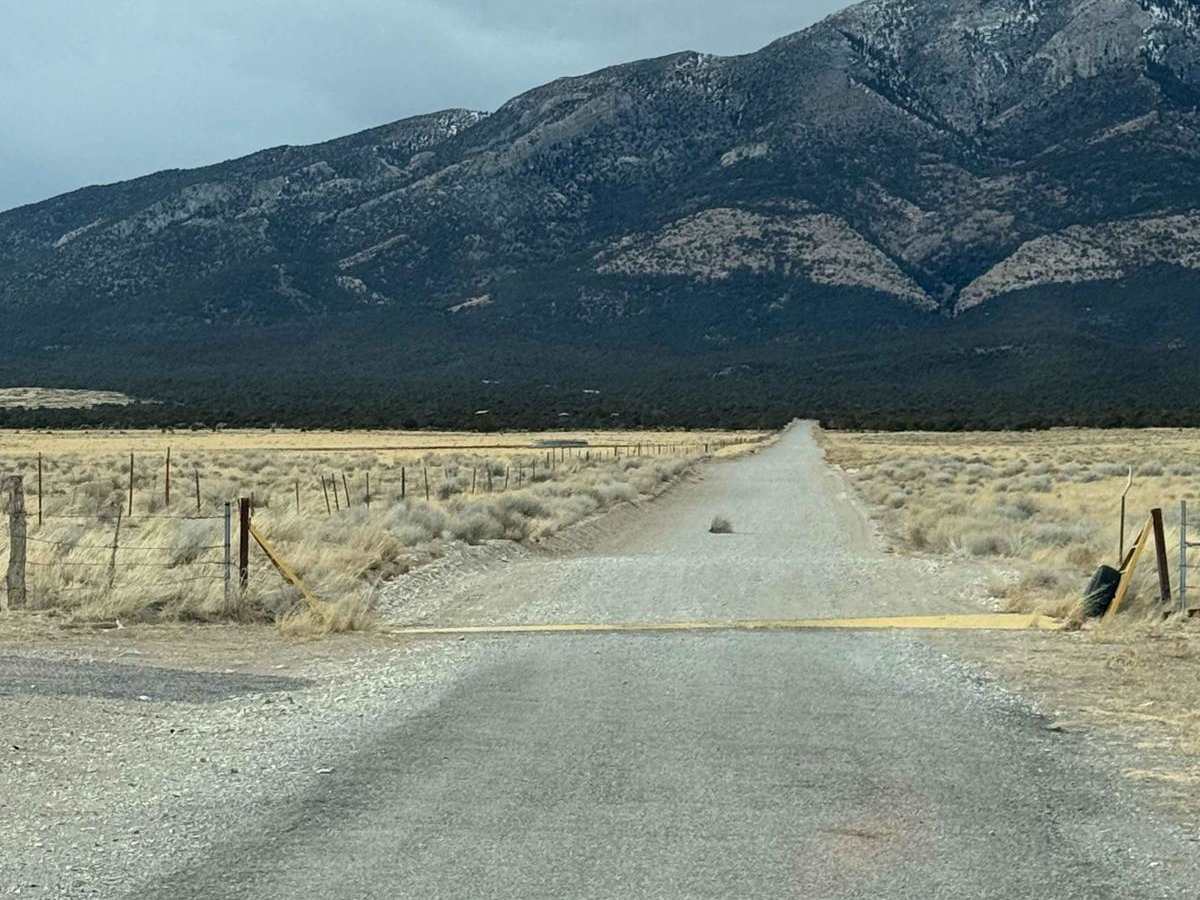 Patterson Pass photo 2