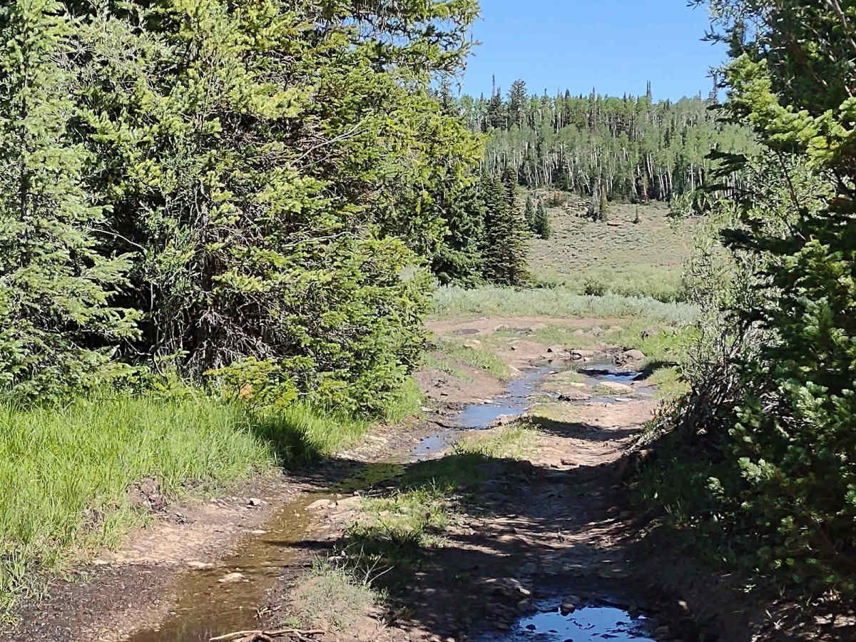 Water, Water Everywhere (FS 4817, 40081, 42421) photo 6