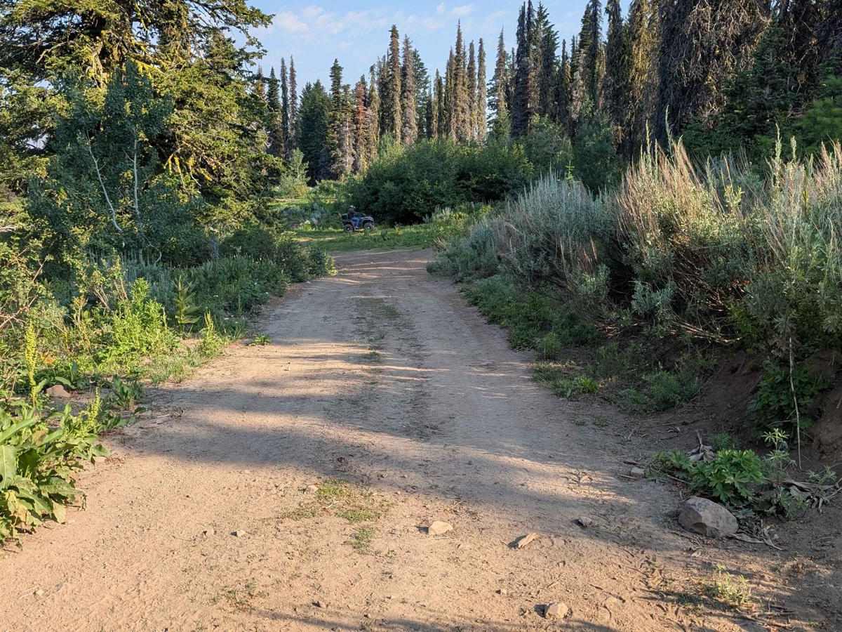 Road 374 - Northern Portion photo 2
