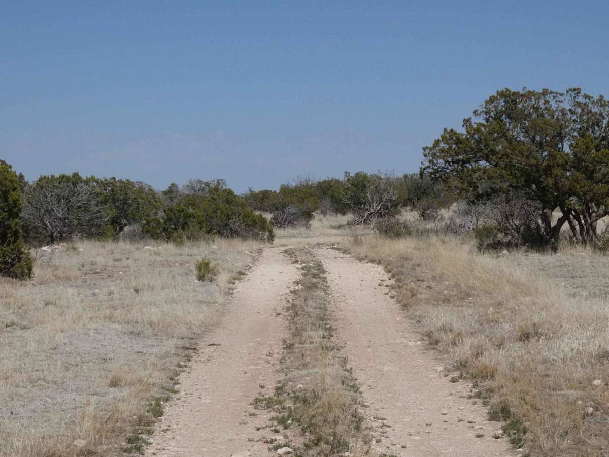 Rawhide photo 3