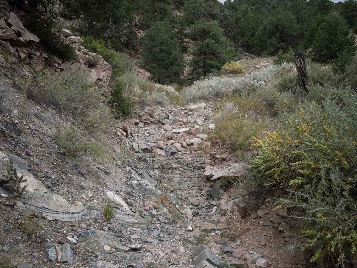 6025 ATV photo 4