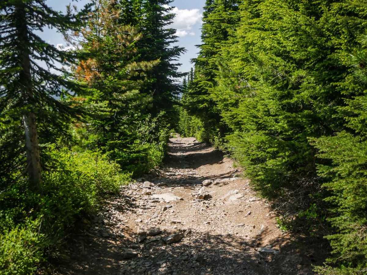 Lake Elsie Ridge ATV photo 2