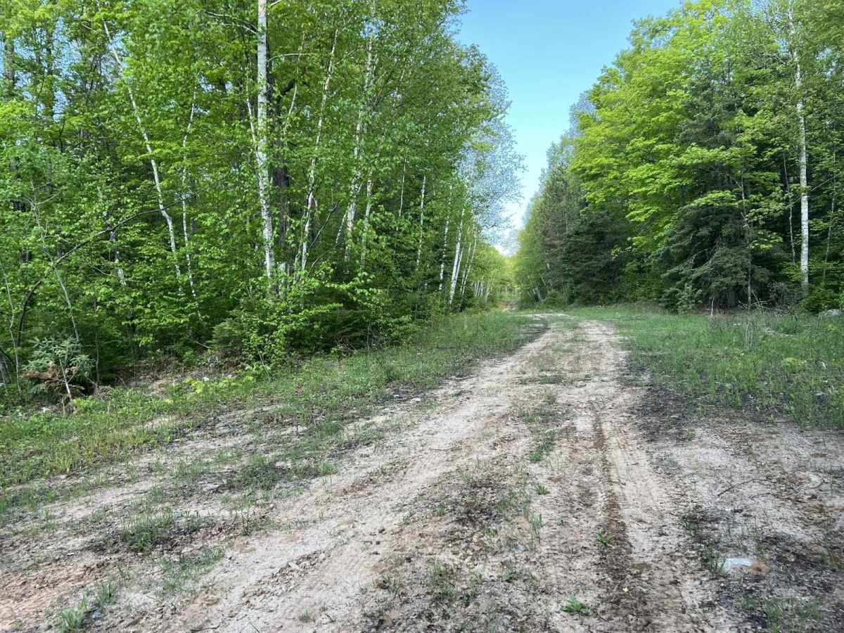 Murry Road photo 2