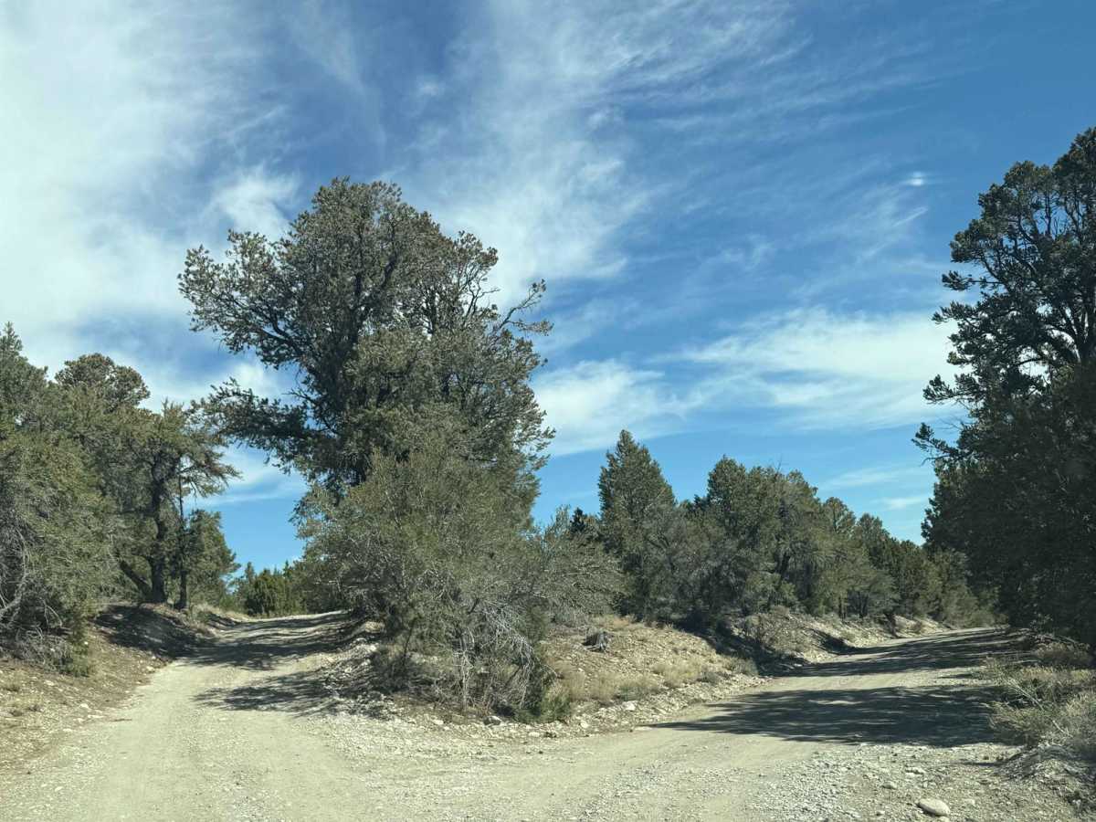 Champion Road photo 5