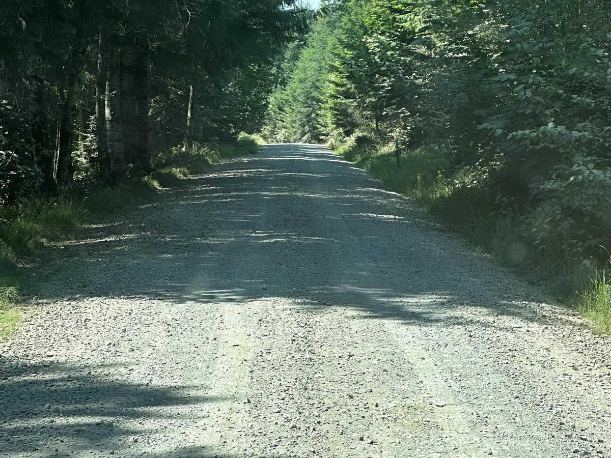 8 Road photo 4
