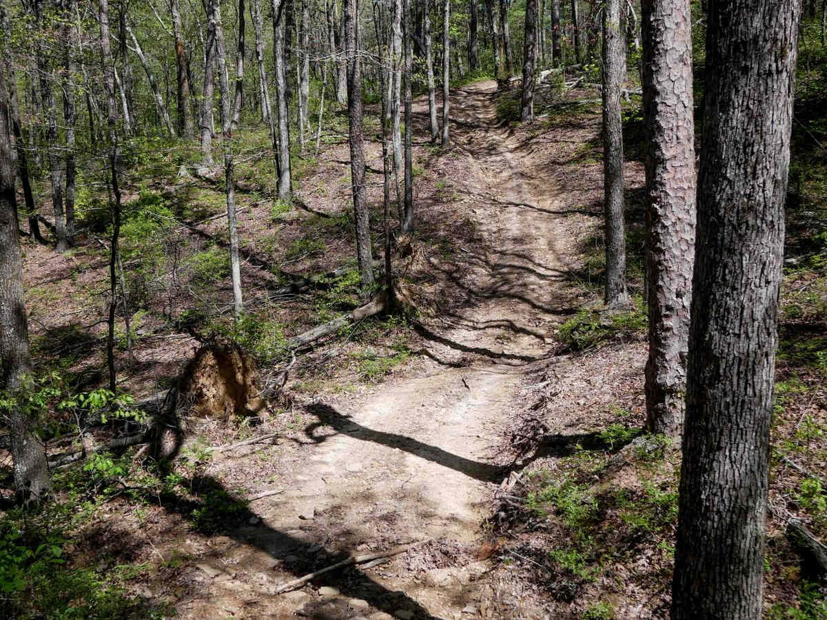 Brock 50 photo 5