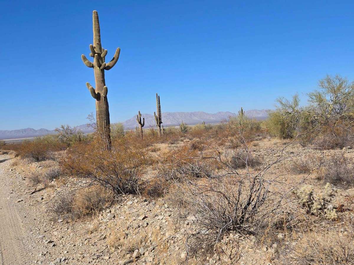 Burro Run (HS10Q) photo 5