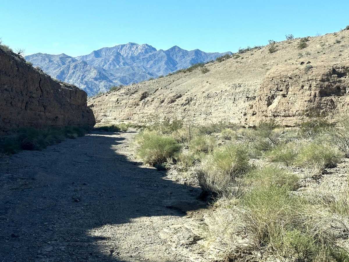Jeep Cove Trail photo 6