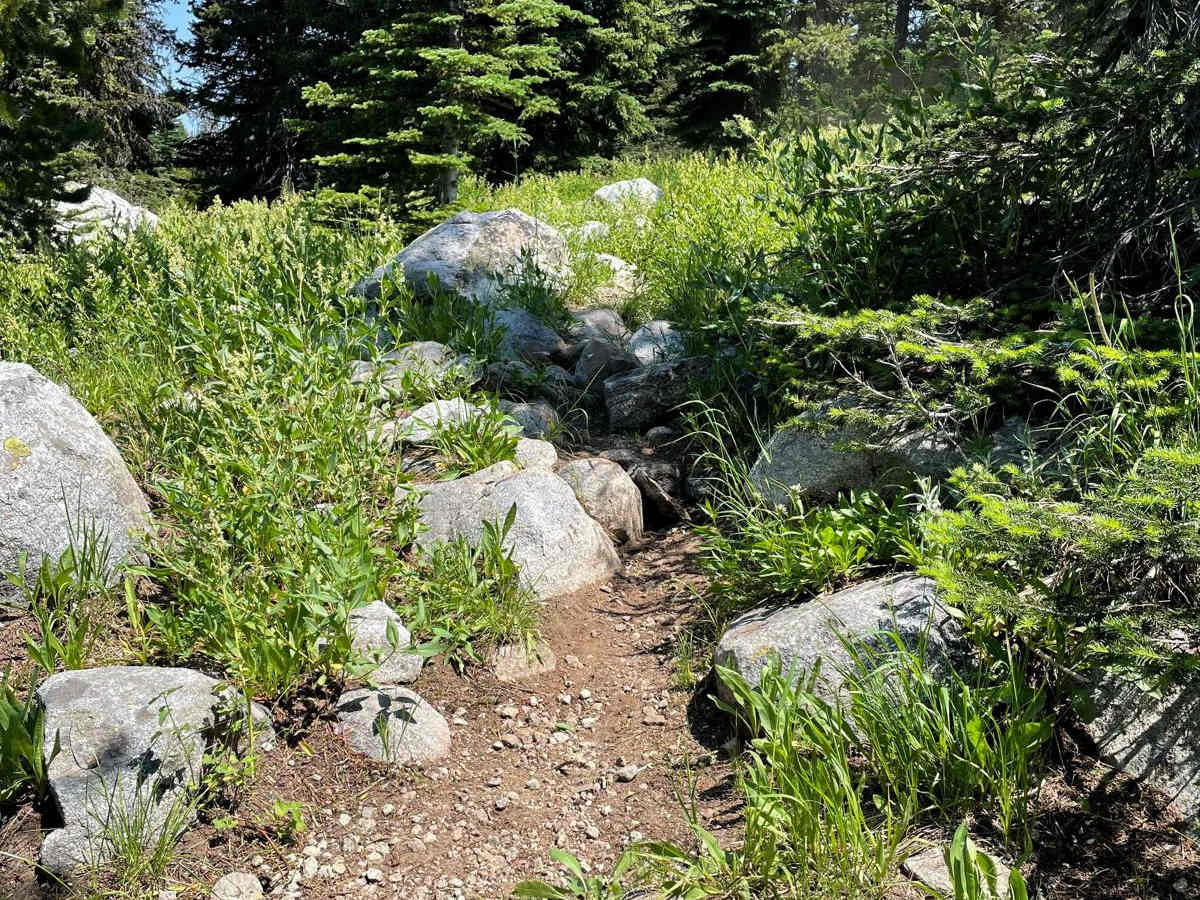 Hidden Lake Loop photo 6