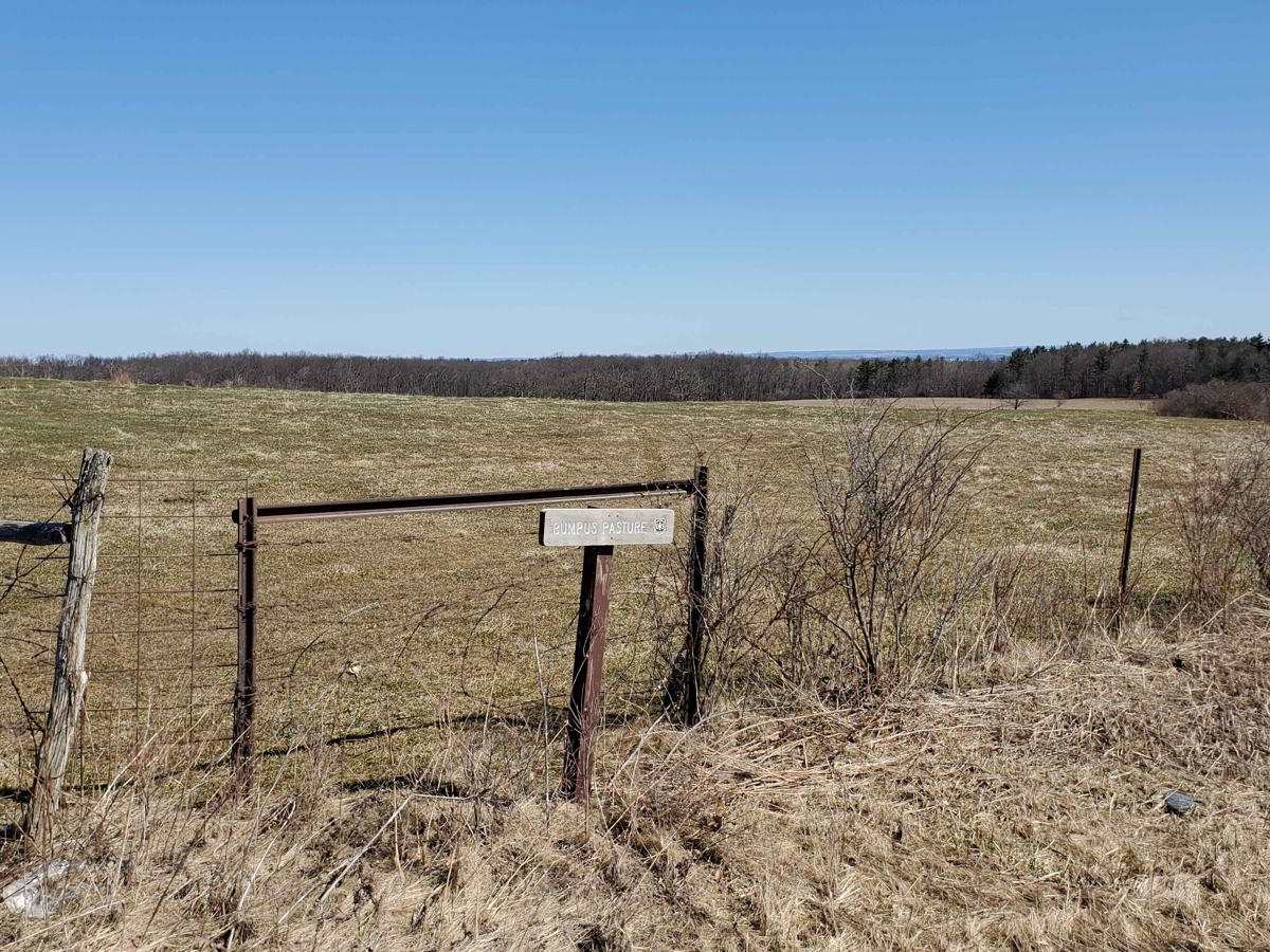 Potomac Road photo 5