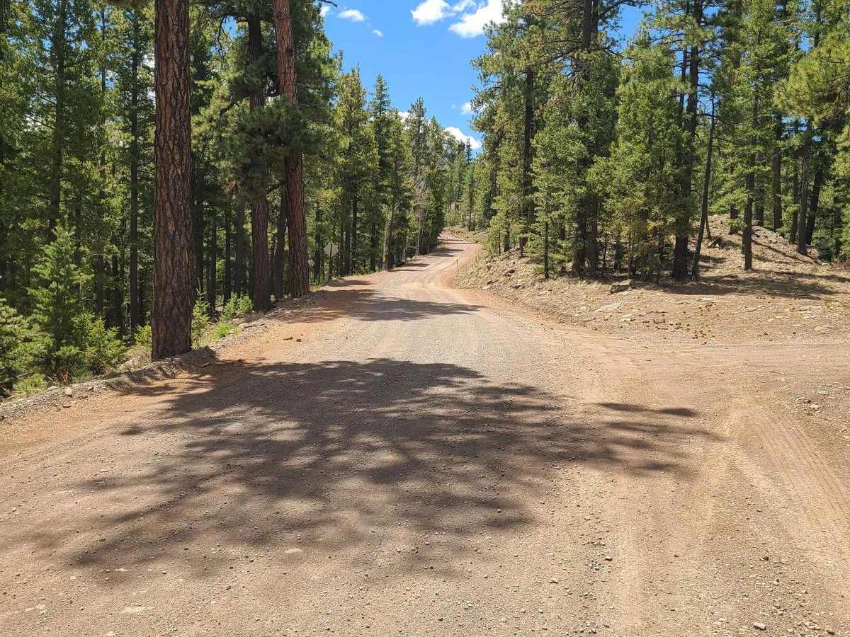Forest Service Road 87 photo 2