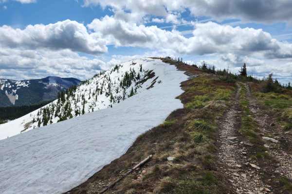 Bloom Peak Trail