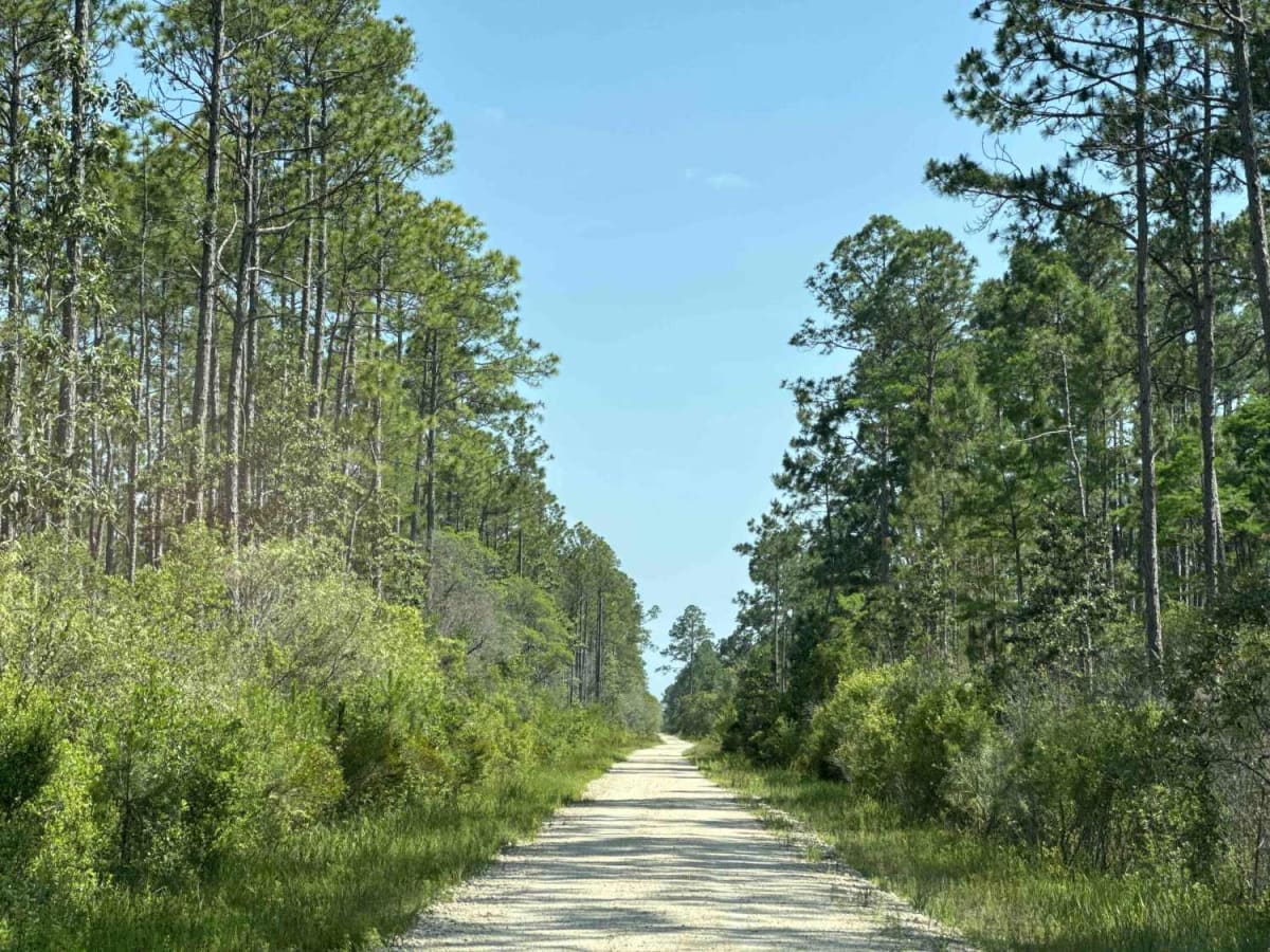 West Boundary Road photo 6