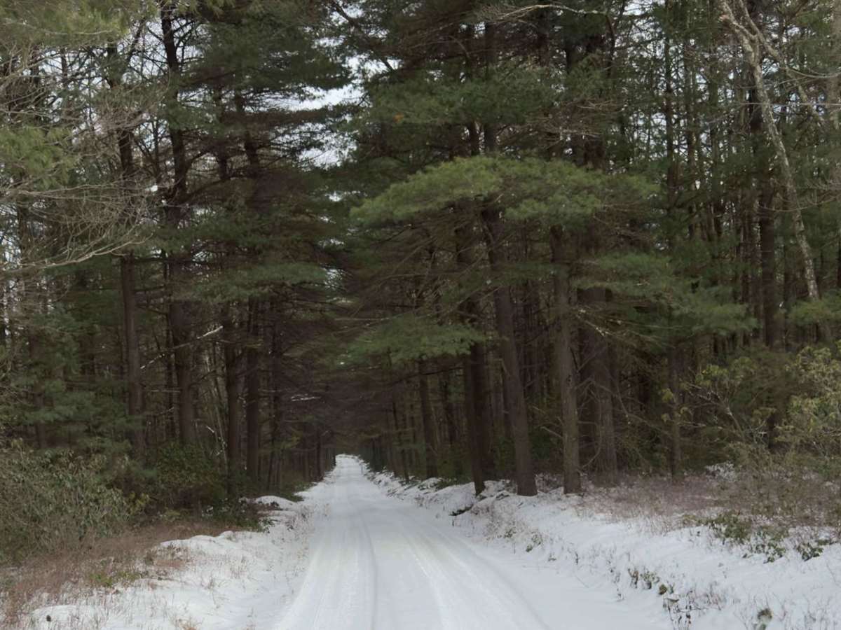 Round Top Road photo 3