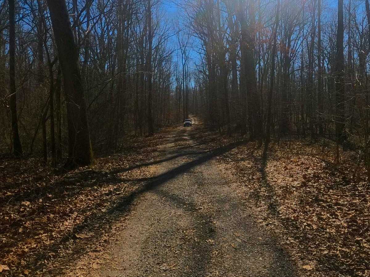 Fulton Furnace Road - FS 315 photo 4