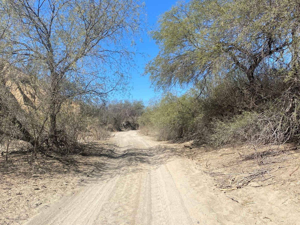 Midway Cutoff photo 5