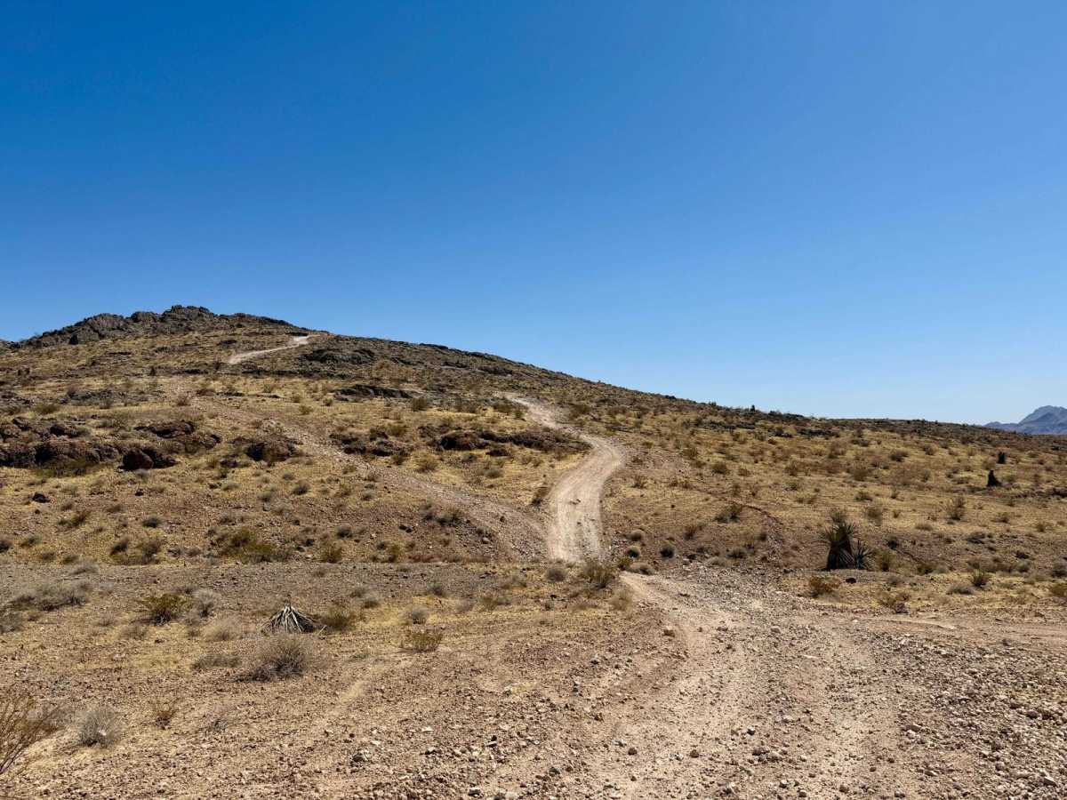 Richie Run trail photo