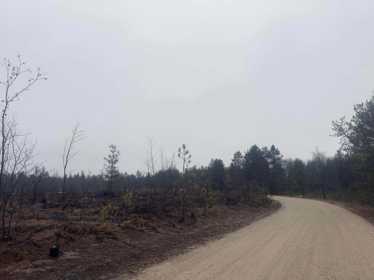Brown Fire Lane Northwest photo 6