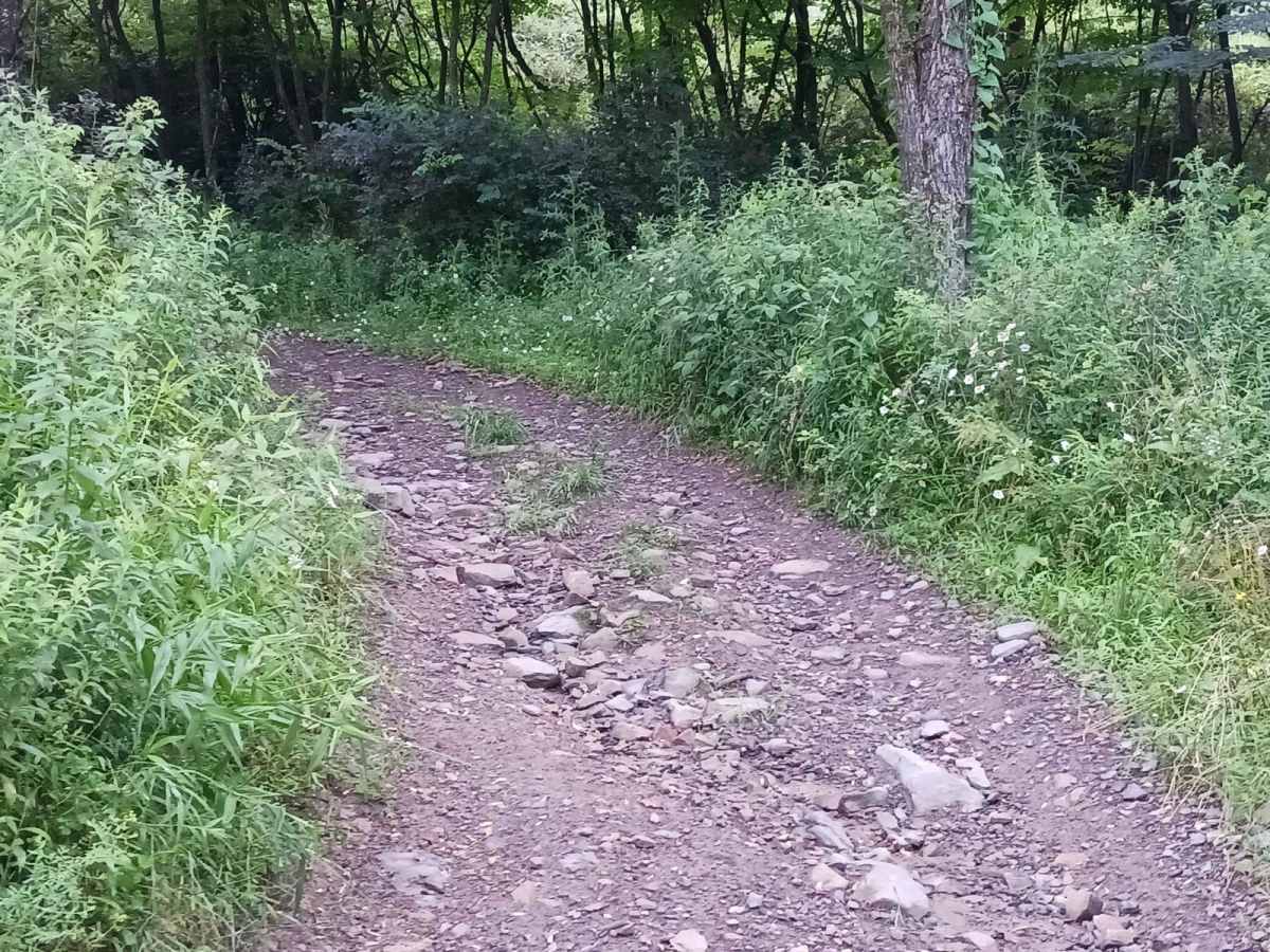 Trail 12I - Rock Run Recreation Area photo 6