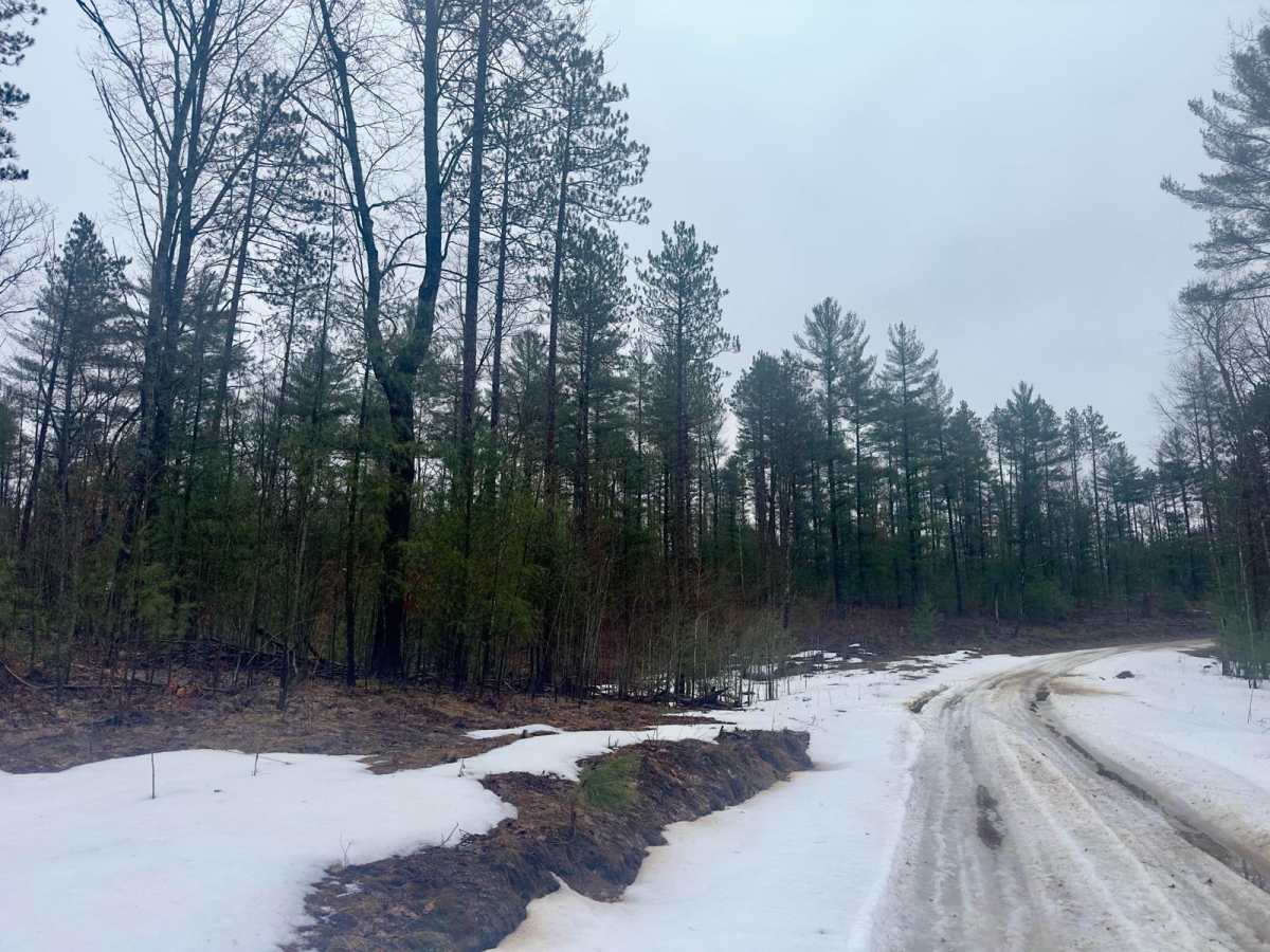 Guernsey Lake Rd photo 5