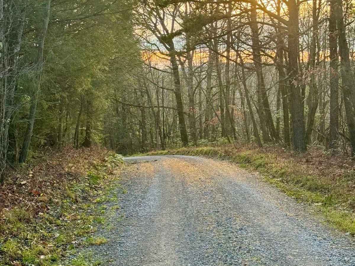 Middle Branch Road trail photo