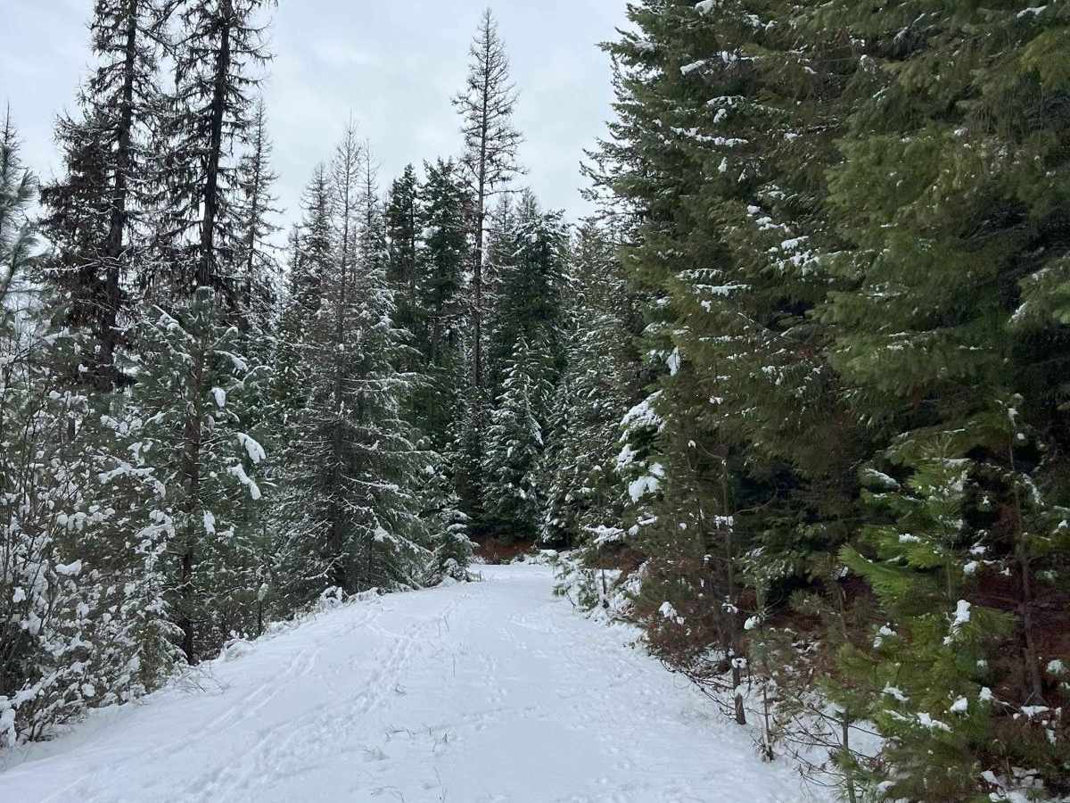 Track 4739 photo 3
