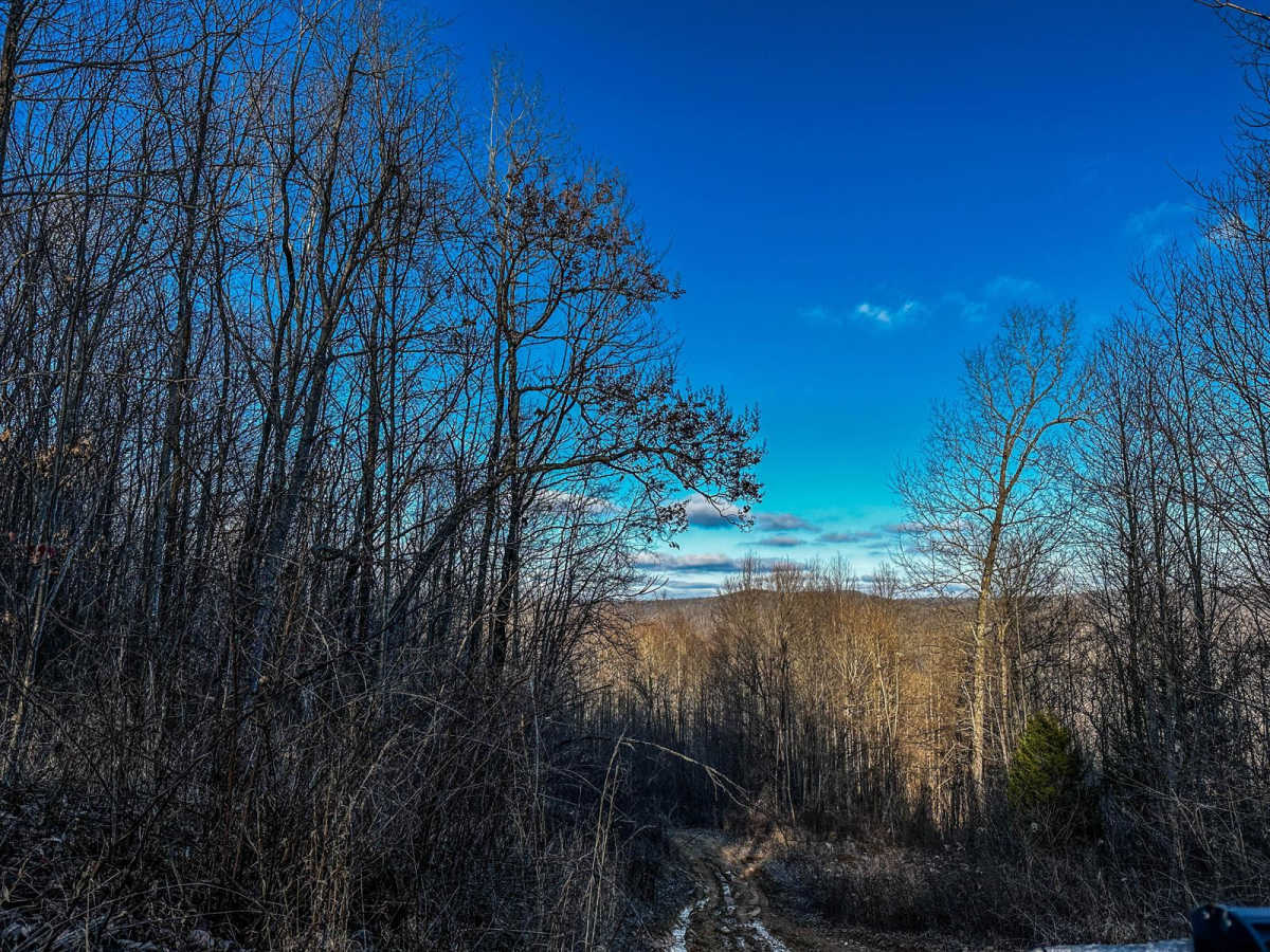 Evan's Ridge photo 4