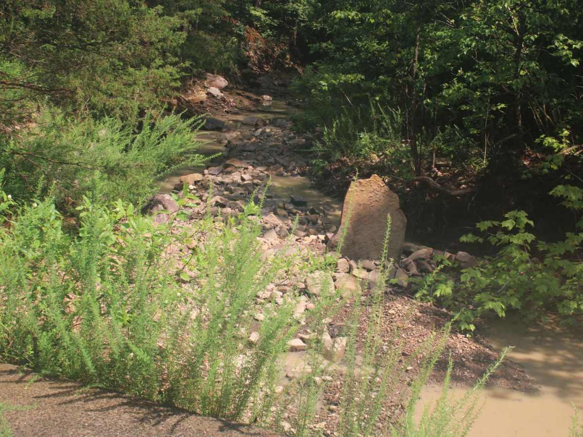Girard Road to Sugar Creek Multi Use Trails photo 3