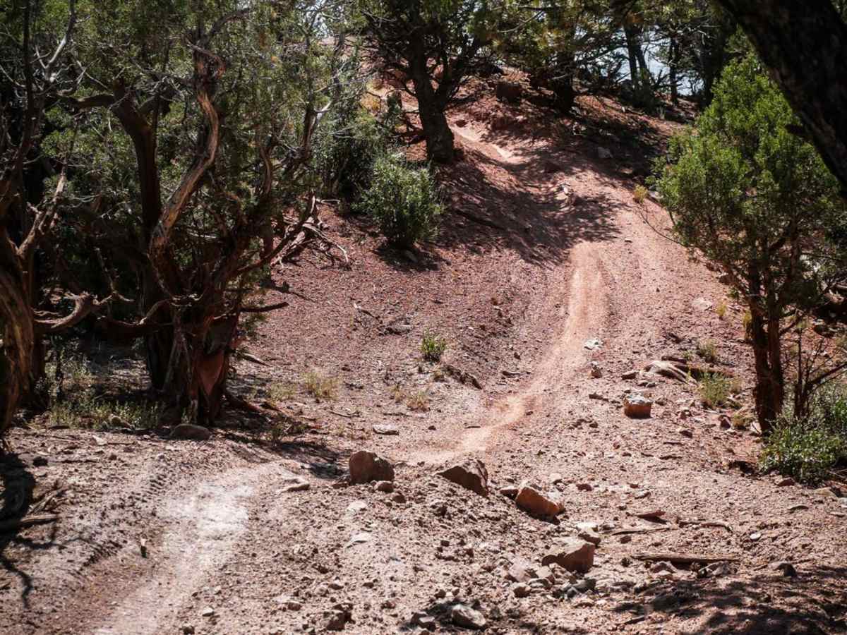 BLM 8624 trail photo