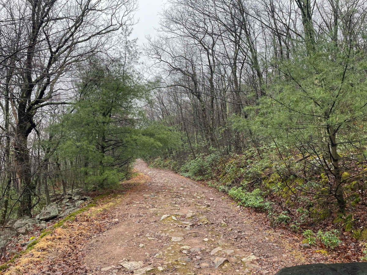 Strongs Mountain Trail (Mid Portion) photo 2