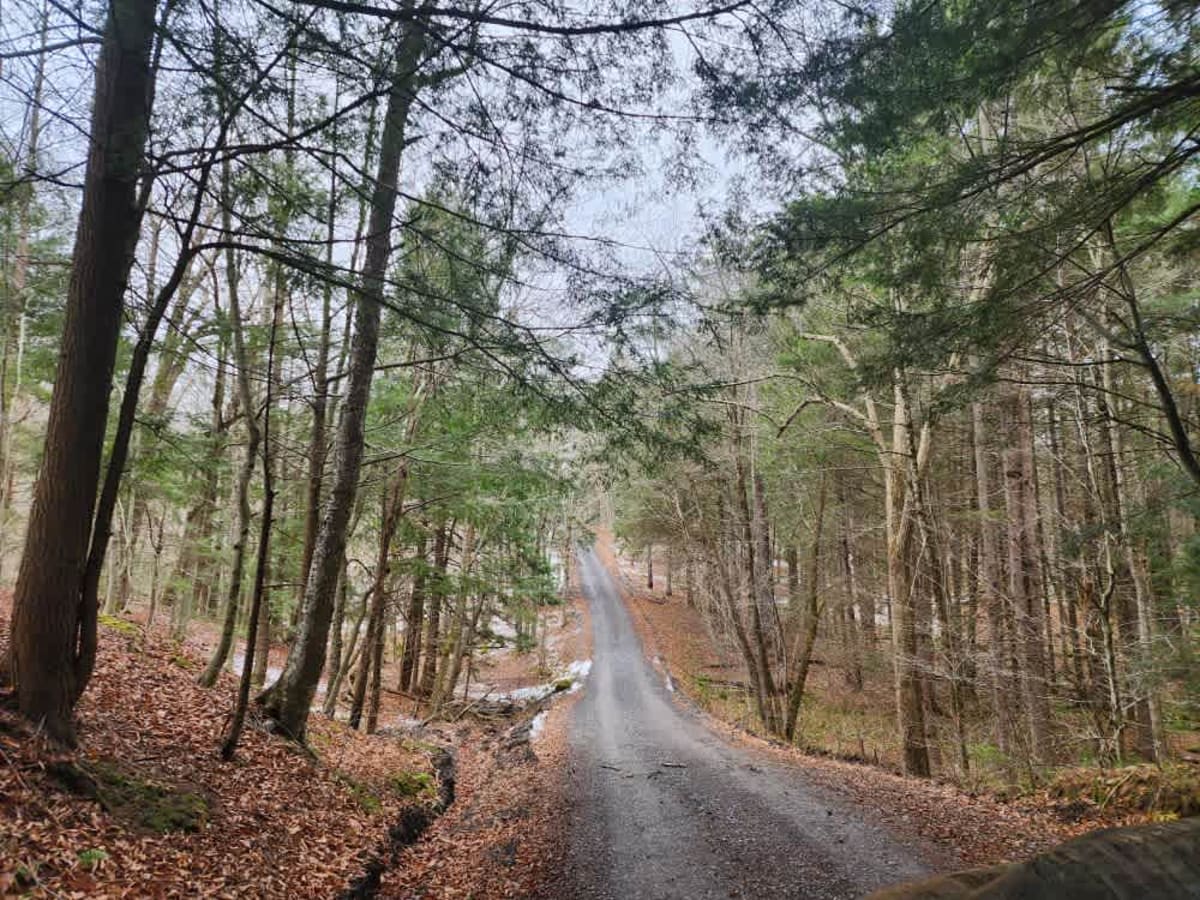 South Gate Road trail photo
