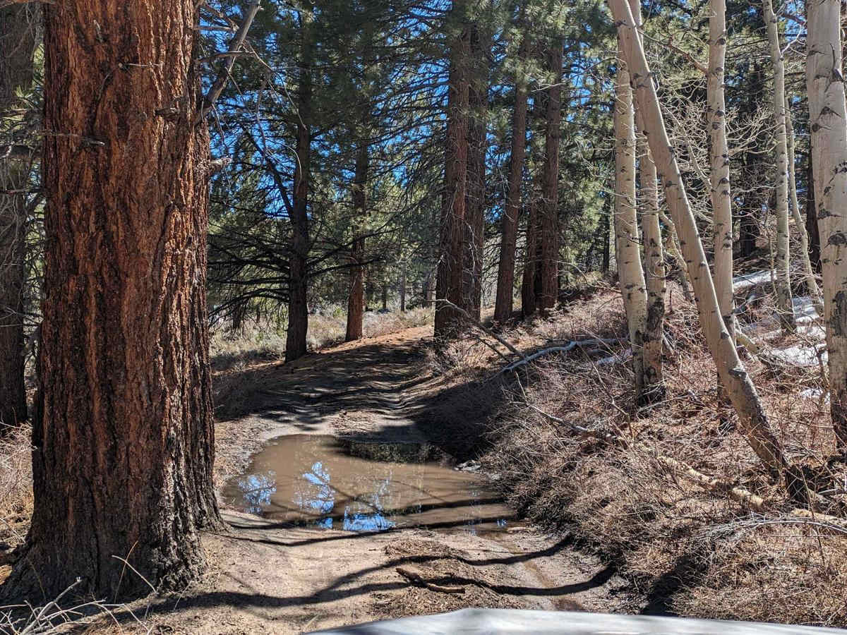 Upper Buttermilk  Road photo 2