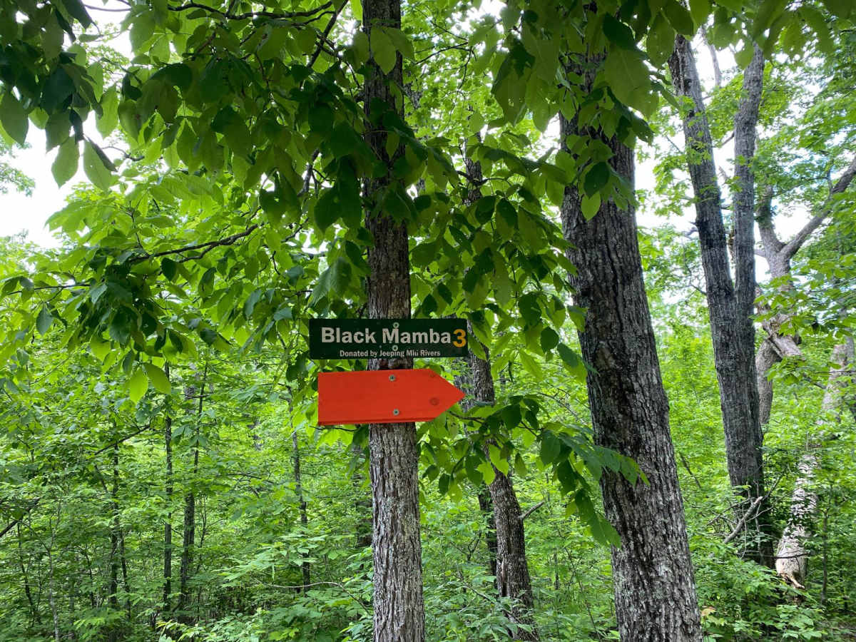 Black Mamba trail photo