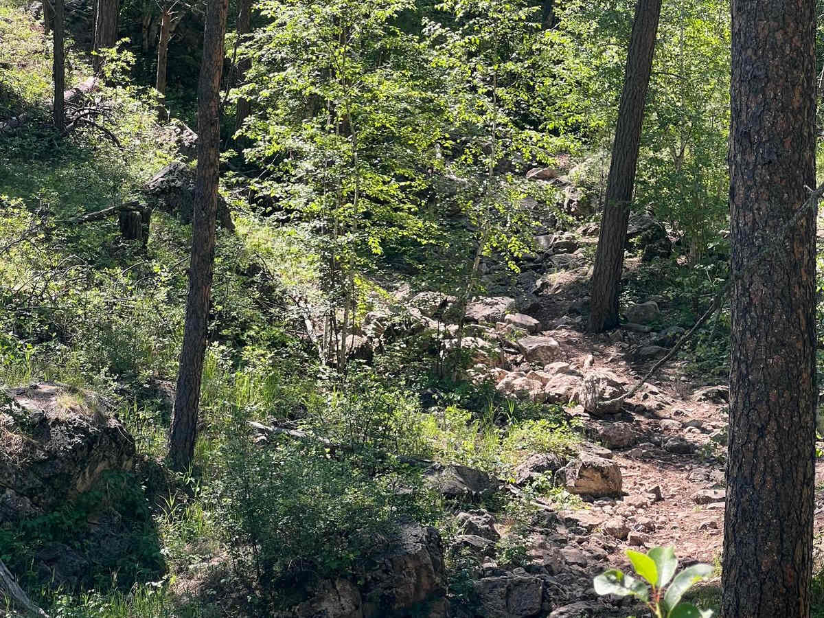 Flat Nastys 6.0 trail photo