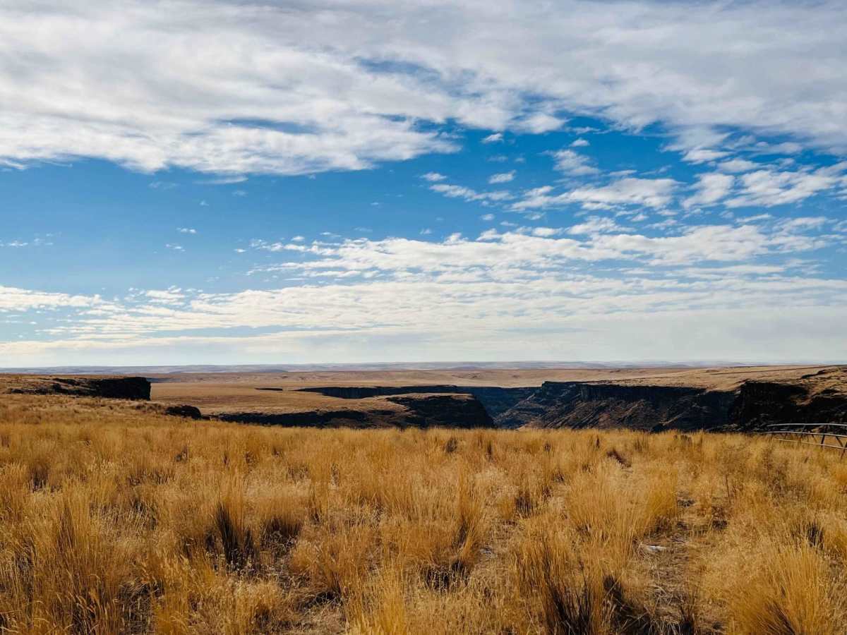 Idaho Centennial to Echo Trail photo 5