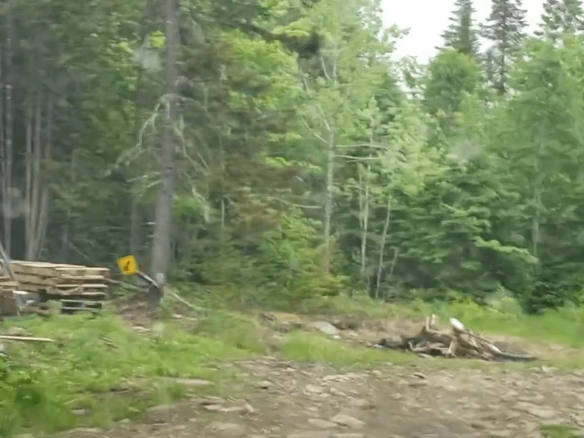 Peckerwood Spur trail photo