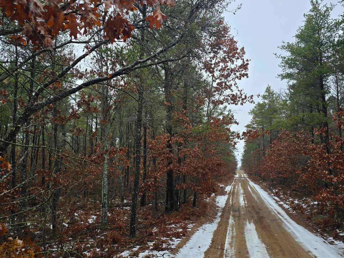 North Dow Road trail photo
