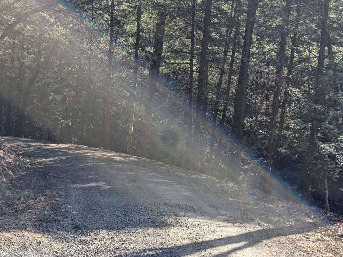 Salt Springs Road photo 5