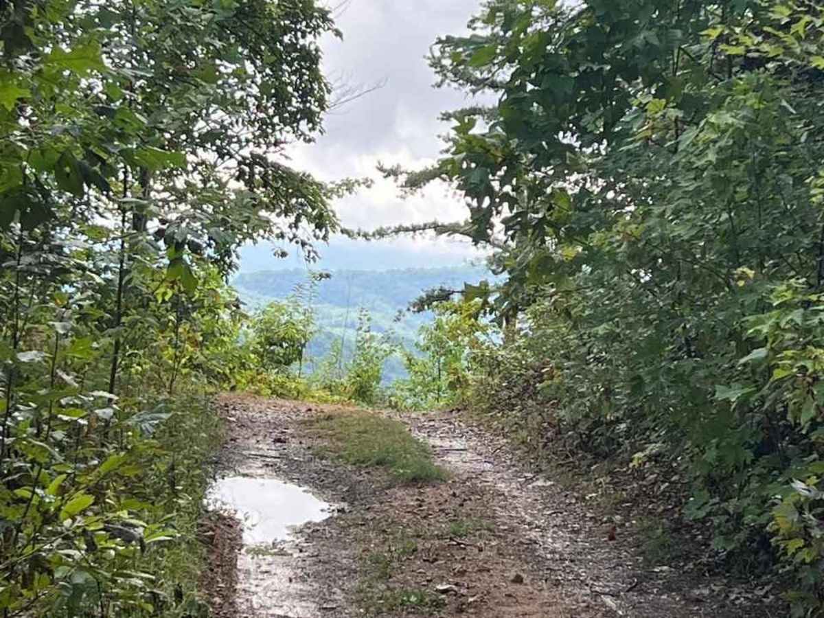 Horse Cove Gap photo 4
