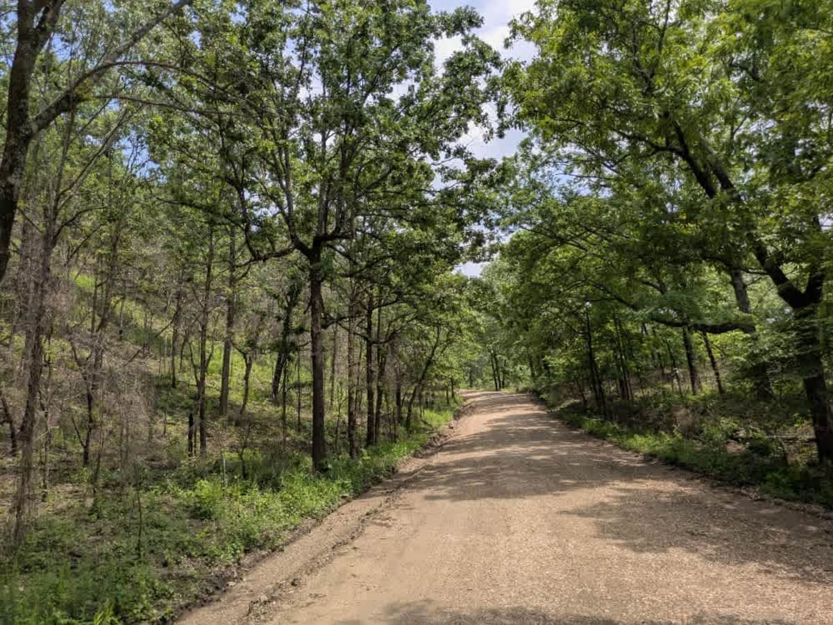 E0980 trail photo