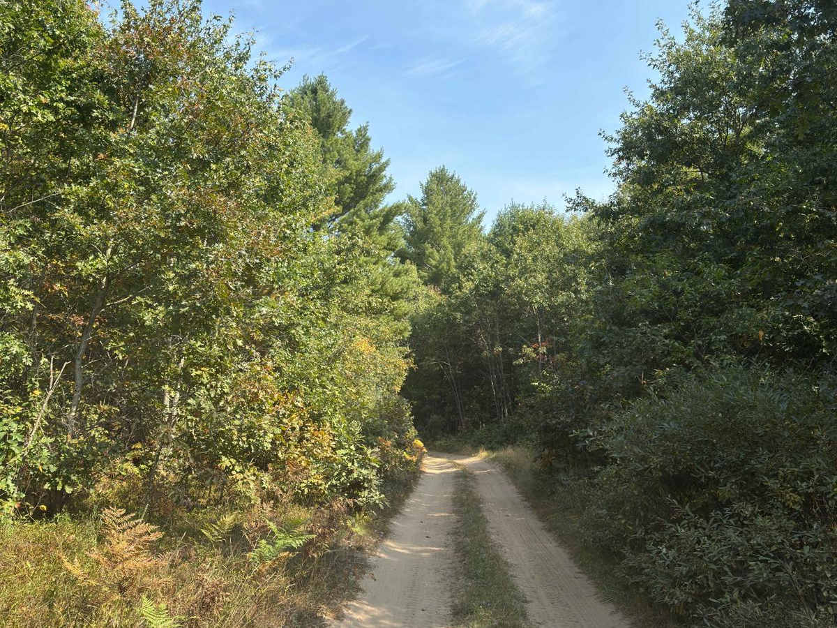 Jack's Trail trail photo