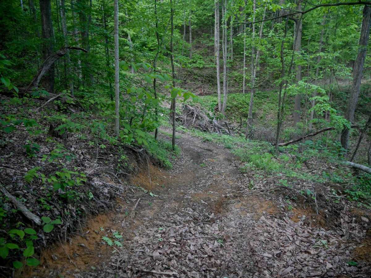 MV95 trail photo