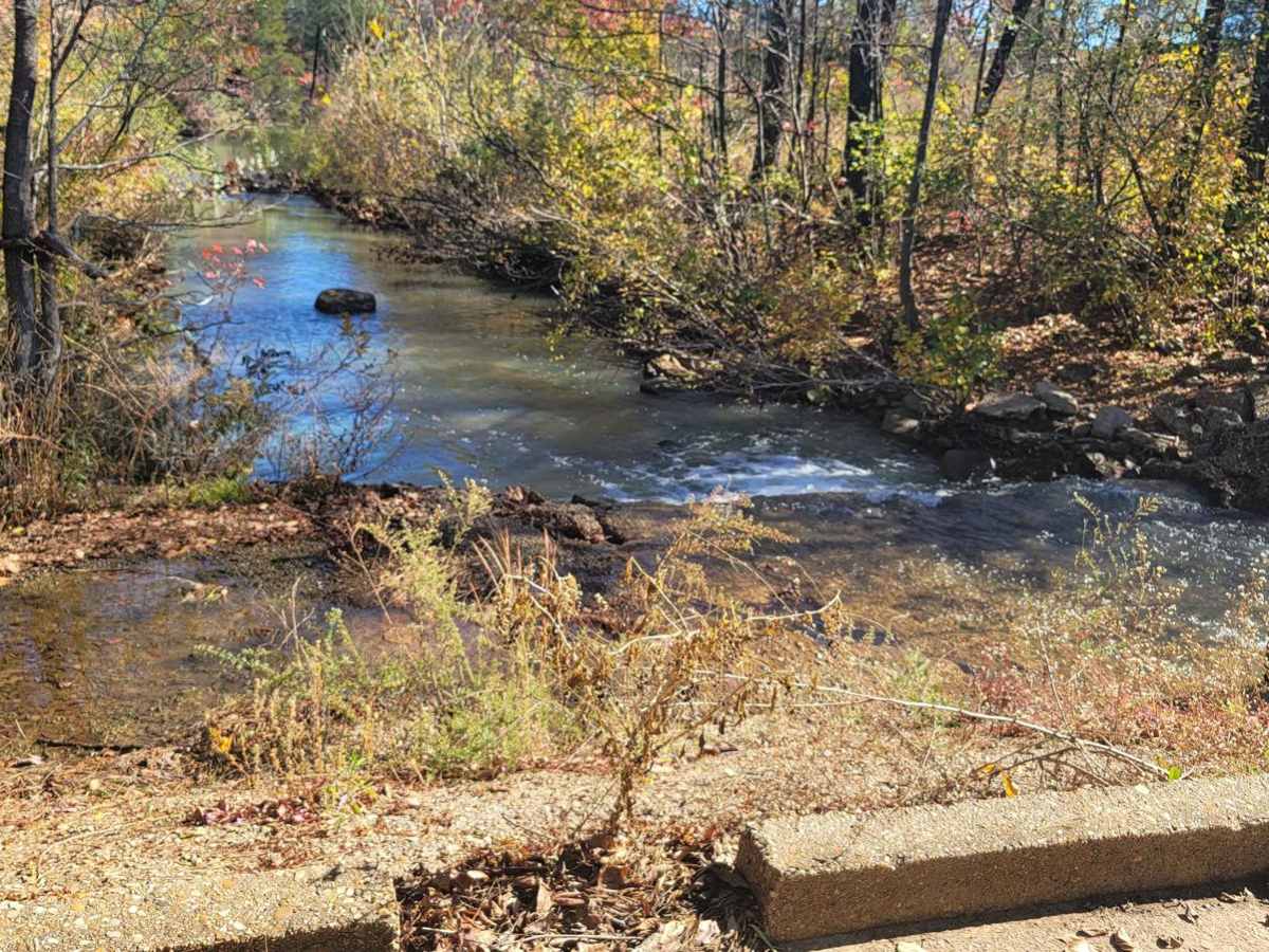Haw Creek photo 5