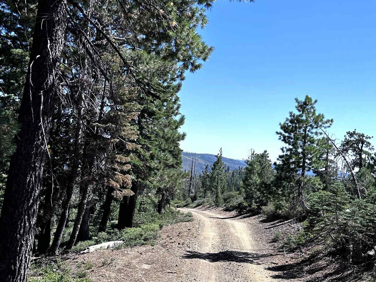Texas Hill Road photo 6