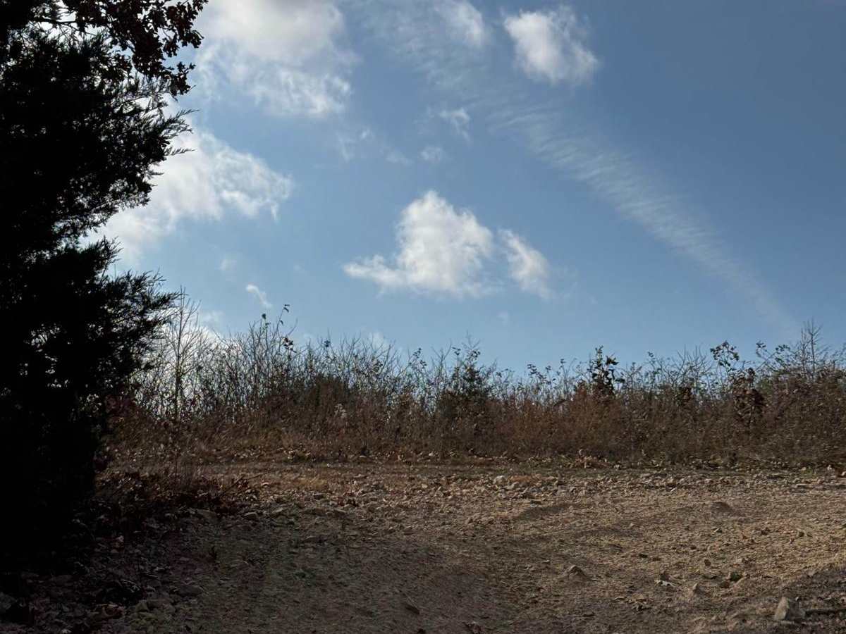 Maze Main trail photo