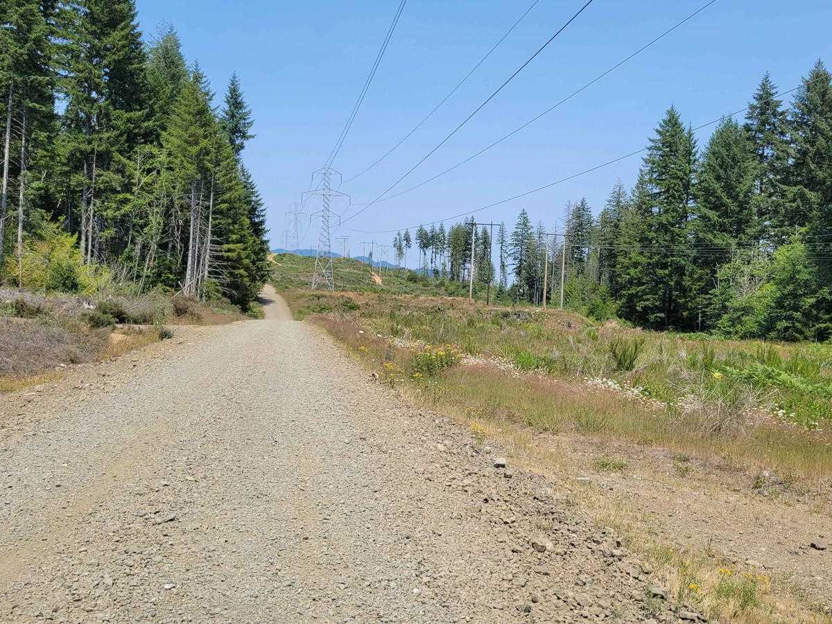 NF 24 - Jorsted Creek photo 3